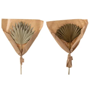 Feuilles palmier séchées roseau bambou rotin par Esprit Déco - Magasin décoration à Estaires - 1